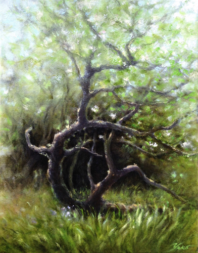 "Old Apple Tree" by Yoko Asari, original oil painting